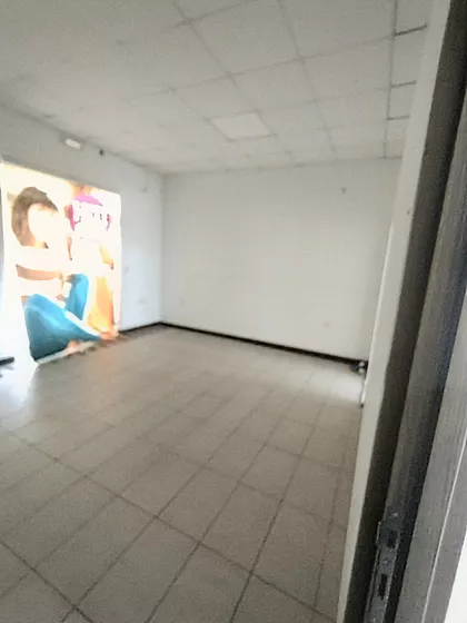 Pavla Vujisića | 4zida.rs
