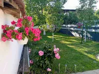 Zrenjanin, Gradske lokacije, Zeleno Polje | 4zida.rs | 4zida.rs