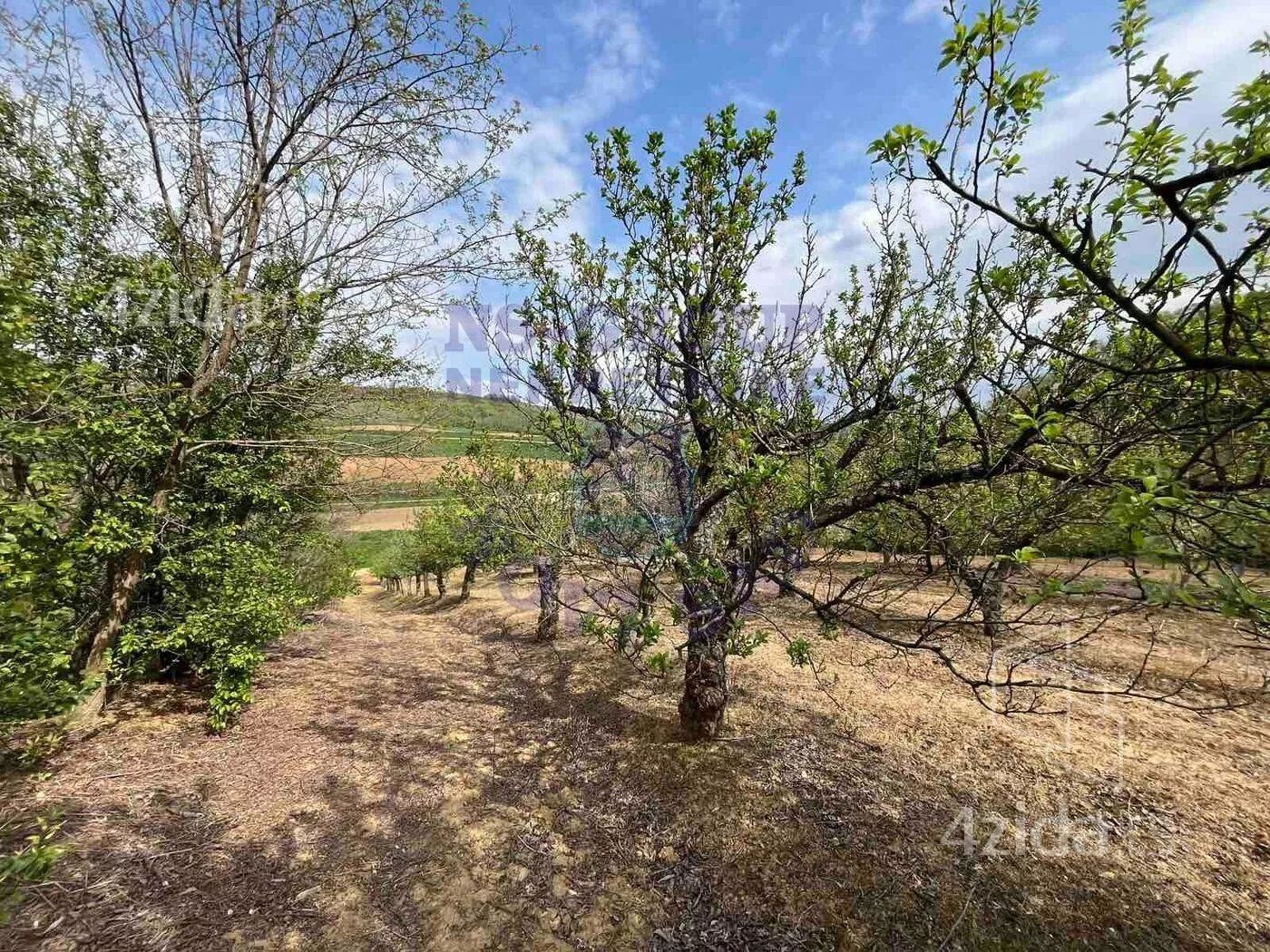 Poljoprivredno zemljište | 4zida