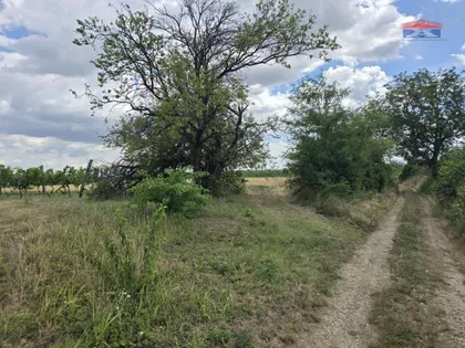 Vrdnik | 4zida.rs