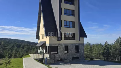 Belog narcisa | 4zida.rs