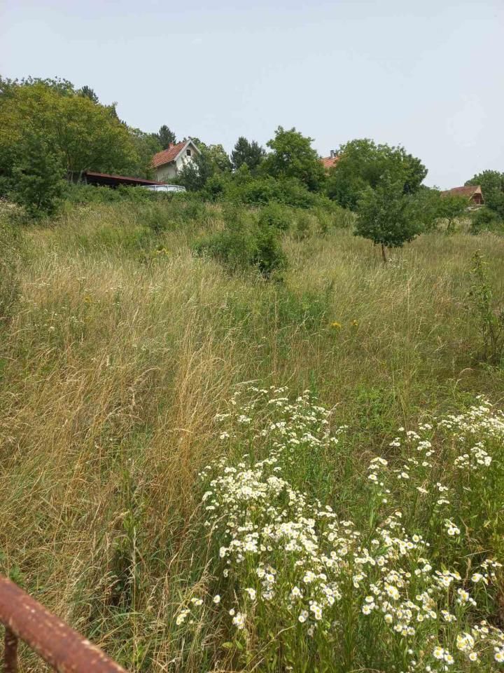 Plac, Beograd