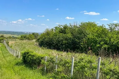 Krčedin | 4zida.rs