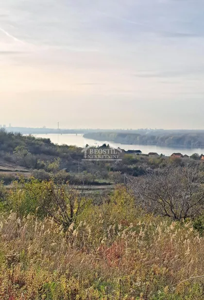 Višnjica | 4zida.rs