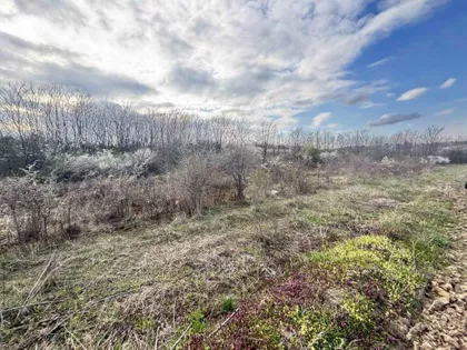 Kosmajska | 4zida.rs