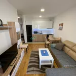Novi Sad, Gradske lokacije, Sajmište | 4zida.rs | 4zida.rs