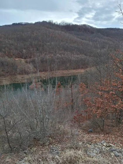 Zavojsko Jezero | 4zida.rs
