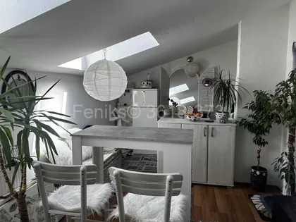 Predraga Vasića | 4zida.rs