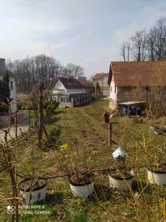 Miljakovacke staze | 4zida.rs