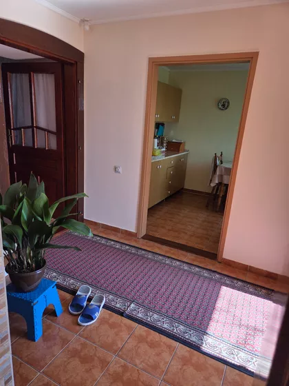 Muškatla | 4zida.rs