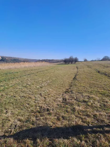 Galamboš | 4zida.rs