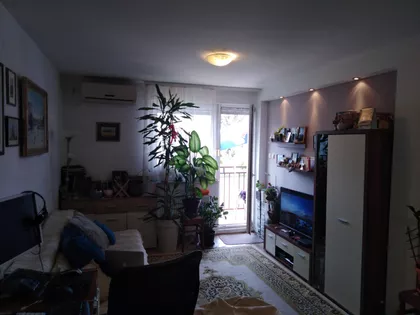 Nova Detelinara | 4zida.rs