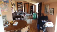 Pančevo, Gradske lokacije, Donji Grad | 4zida.rs | 4zida.rs