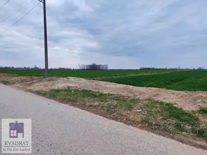 Zvečka | 4zida.rs