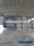 Lokal | 4zida