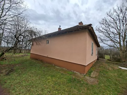 Karađorđeva | 4zida.rs