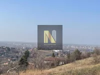 Sremska Kamenica, Gradske lokacije, Novi Sad