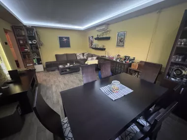 Sretena Mladenovića-Mike