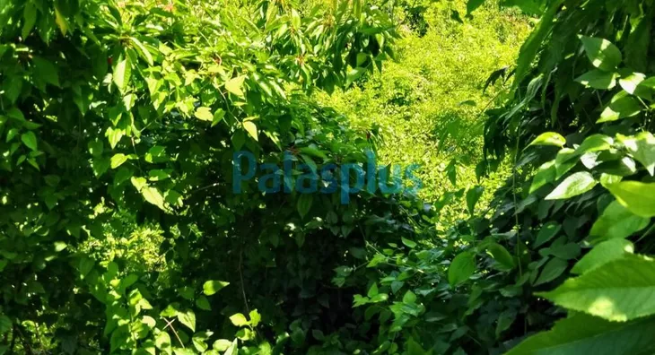 Poljoprivredno zemljište | 4zida