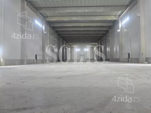 Hala | 4zida