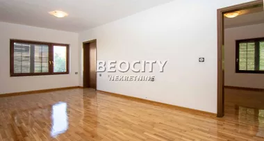Živka Davidovića