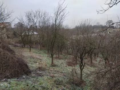 Milosava Ivkovića | 4zida.rs