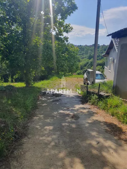 Stara lipovica | 4zida.rs