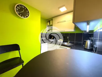 Živojina Lazića | 4zida.rs