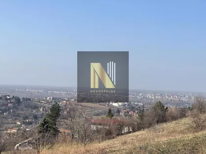 Sremska Kamenica | 4zida.rs