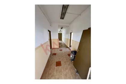 Utve zlatokrile | 4zida.rs