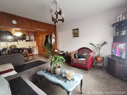 Šumarice | 4zida.rs