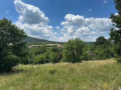 Nemenikuće | 4zida.rs