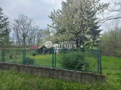 Tije Simića | 4zida.rs