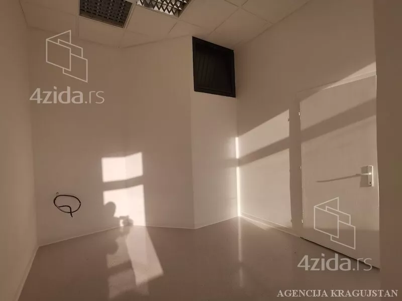 Lokal | 4zida