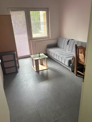 Miše Dimitrijevića