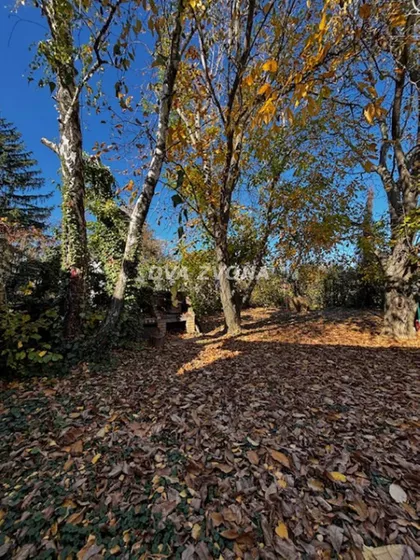 Čortanovci | 4zida.rs