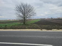 Stari Banovci, Okolne lokacije, Stara Pazova | 4zida.rs