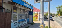 Lokal | 4zida
