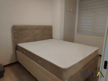 Detelinara | 4zida.rs