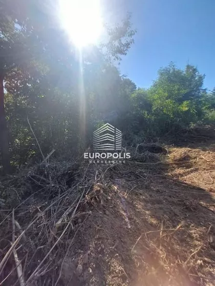 Stara Lipovica | 4zida.rs
