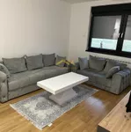 Novi Sad, Gradske lokacije, Telep | 4zida.rs | 4zida.rs