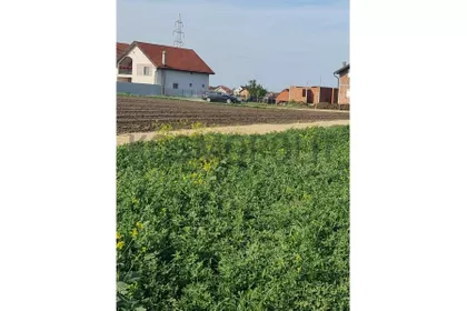 Male Međe | 4zida.rs
