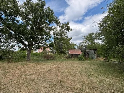 Igora Urosevica | 4zida.rs