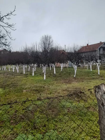 Levačka | 4zida.rs