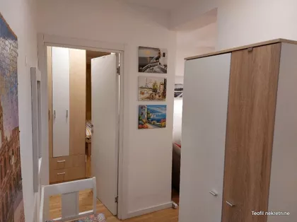 Vase Pelagića | 4zida.rs