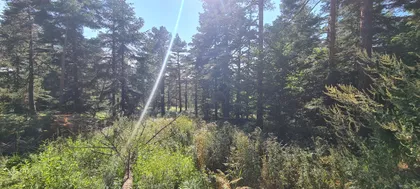 Ljuti Krš | 4zida.rs