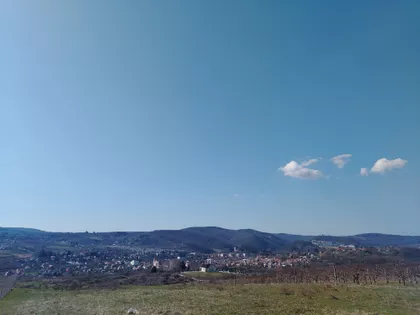 Lukijana Mušickog | 4zida.rs