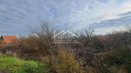 Boška Buhe | 4zida.rs