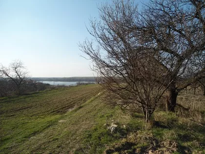 Orasje | 4zida.rs
