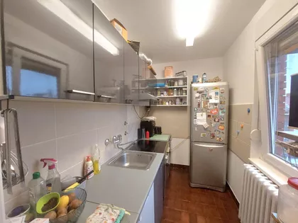 Todora Toze Jovanovića | 4zida.rs